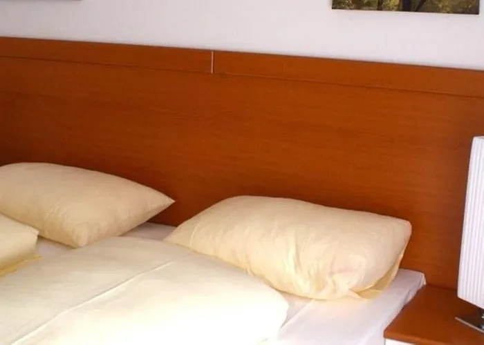 Evido ザルツブルク